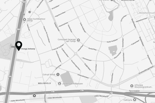 Hongqi - Antwerpen maps - page image