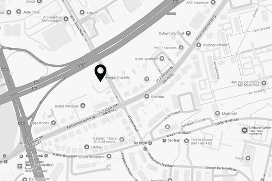 Hongqi - Brussels maps - page image